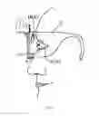 Fig. 06 - Electronic spectacles