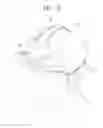 Fig. 03 - HEAD-MOUNTED DEVICE AND DISPLAY DEVICE