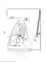 Fig. 02 - Electrophotographic image forming apparatus