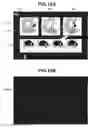 Fig. 12 - Image forming apparatus for adjusting image forming position