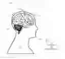 Fig. 01 - Systems and methods for haptically-enabled neural interfaces