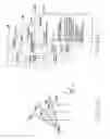 Fig. 15 - ELECTRONIC DEVICE AND METHOD OF OPERATING SAME