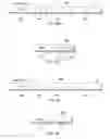 Fig. 03 - Prioritization of transactions based on execution progress