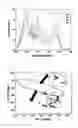 Fig. 02 - Method of predicting sugar content and acidity of fruit using multivariate statistical analysis of FT-IR spectrum data