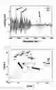 Fig. 03 - Method of predicting sugar content and acidity of fruit using multivariate statistical analysis of FT-IR spectrum data