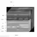 Fig. 17 - METHOD AND SYSTEMS FOR PROCESSING POLYMERIC SEQUENCE DATA AND RELATED INFORMATION