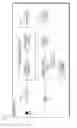 Fig. 09 - Security systems and methods for encoding and decoding digital content