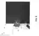 Fig. 12 - Systems and methods for enabling user interactions with wireless tags