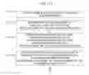 Fig. 10 - System and method for authenticating user