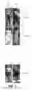 Fig. 05 - Re-identifying an object in a test image