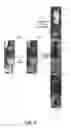 Fig. 06 - Re-identifying an object in a test image