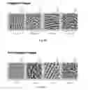 Fig. 11 - Multi-stage liveness determination