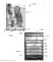 Fig. 03 - Print orientation of documents based on device sensor output