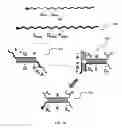 Fig. 12 - Rotationally sequestered translators