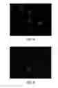 Fig. 04 - Pigment identification of complex coating mixtures with sparkle color