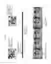 Fig. 14 - Augmented reality contents generation and play system and method using the same