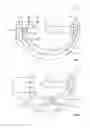 Fig. 05 - Tamper evident cargo container seal bolt lock