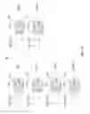Fig. 34 - Display device and pixel circuit thereof