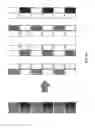Fig. 44 - Display device and pixel circuit thereof
