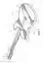 Fig. 02 - Stringed instrument