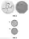 Fig. 07 - Dispersion ceramic micro-encapsulated (DCM) nuclear fuel and related methods