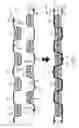Fig. 05 - Nested shielded ribbon cables