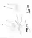 Fig. 08 - Environmentally protected switch for activating an electronic device when submersed in a conducting fluid