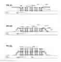 Fig. 07 - Three-dimensional hybrid packaging with through-silicon-vias and tape-automated-bonding