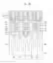 Fig. 42 - SEMICONDUCTOR DEVICES HAVING A GATE STRUCTURE AND A CONDUCTIVE LINE AND METHODS OF MANUFACTURING THE SAME