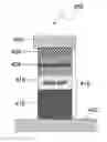 Fig. 01 - Resistive change element array using vertically oriented bit lines