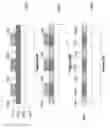 Fig. 60 - Resistive change element array using vertically oriented bit lines