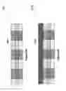 Fig. 65 - Resistive change element array using vertically oriented bit lines