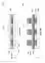 Fig. 77 - Resistive change element array using vertically oriented bit lines