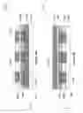 Fig. 87 - Resistive change element array using vertically oriented bit lines
