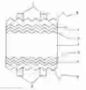Fig. 01 - Method for making crystalline silicon-based solar cell, and method for making solar cell module