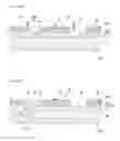 Fig. 07 - Light emitting diode and method of fabricating the same
