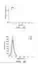 Fig. 08 - Ultraviolet light emitting diodes