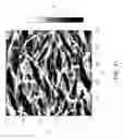 Fig. 13 - Field-effect transistors based on macroscopically oriented polymers