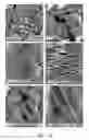 Fig. 17 - Field-effect transistors based on macroscopically oriented polymers