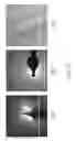 Fig. 44 - Field-effect transistors based on macroscopically oriented polymers