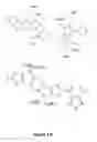 Fig. 22 - Stable organic field-effect transistors by incorporating an electron-accepting molecule