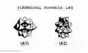 Fig. 02 - Fluorine-atom-containing polymer and use thereof
