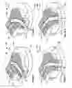 Fig. 03 - Waveguide hinge