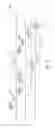 Fig. 06 - Preamble and payload for high efficiency (HE) transmission