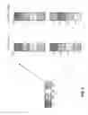 Fig. 04 - Spreading techniques for frequency-shift keying modulation
