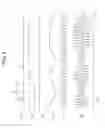 Fig. 07 - Wireless transmission device and wireless transmission method