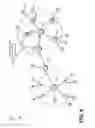 Fig. 06 - Propagating state information to network nodes