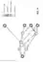 Fig. 13 - Graph construction for computed spring multicast