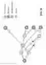 Fig. 14 - Graph construction for computed spring multicast