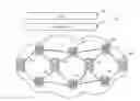 Fig. 01 - Multi-drop unidirectional services in a network